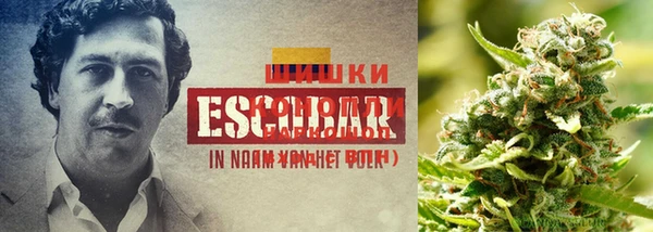 альфа пвп Балахна